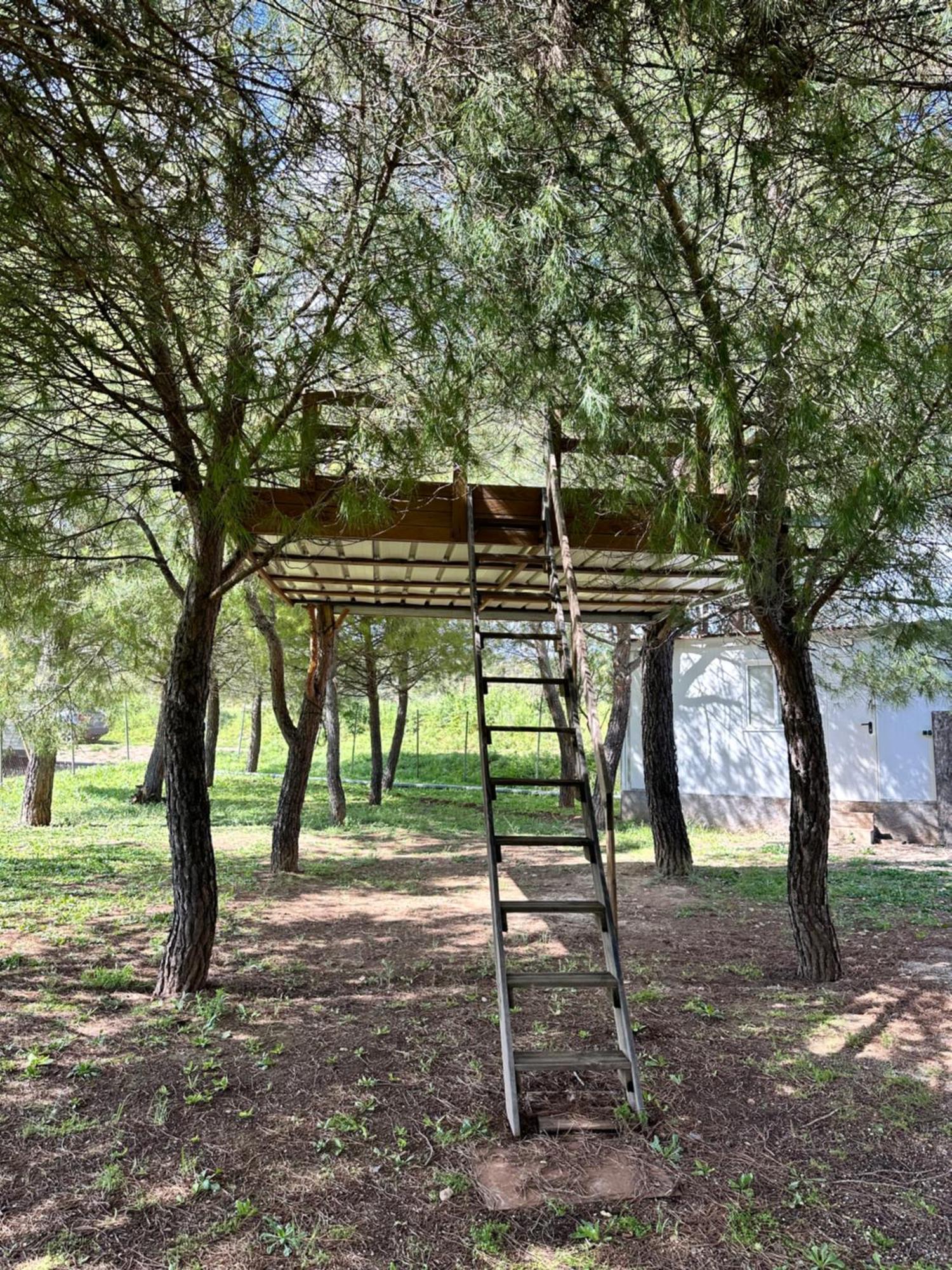 Bungalow Bambolera Torrelaguna Екстер'єр фото