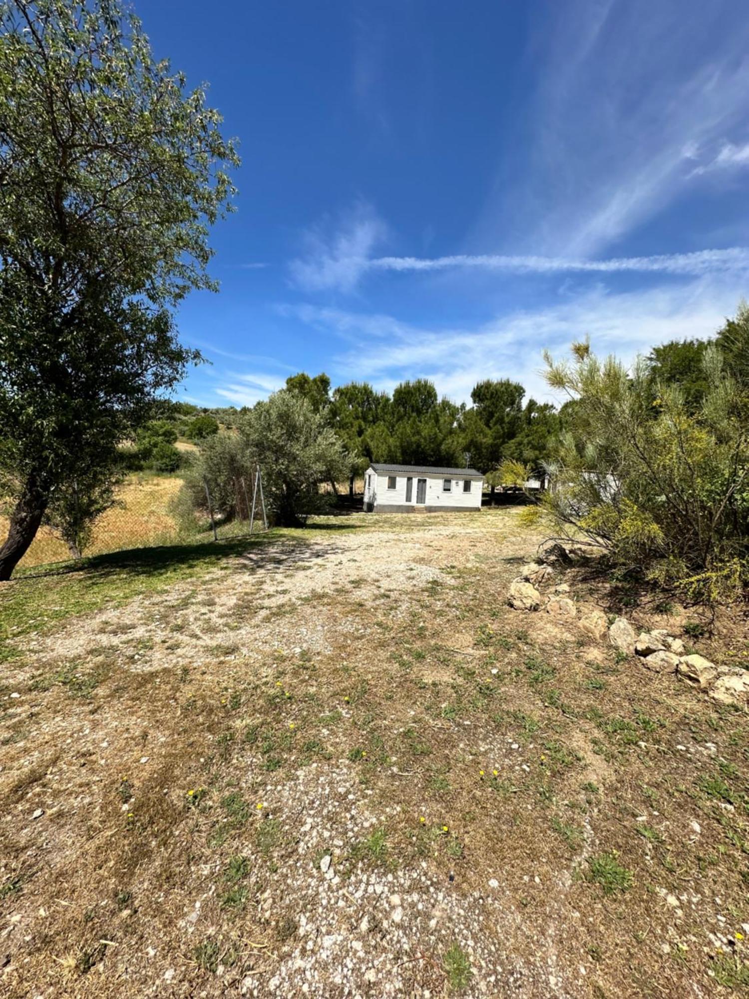 Bungalow Bambolera Torrelaguna Екстер'єр фото