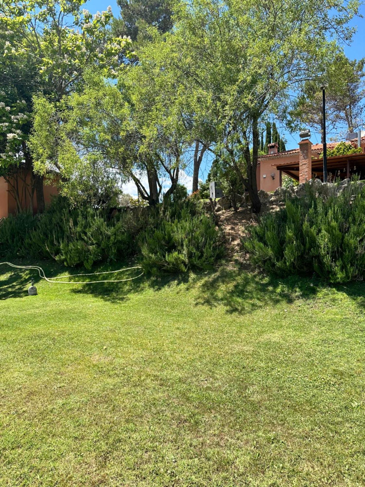 Bungalow Bambolera Torrelaguna Екстер'єр фото